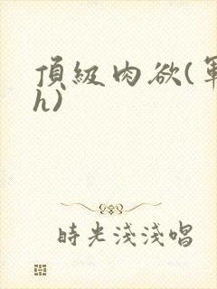 顶级肉欲(军高h)