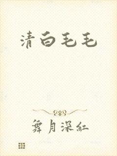 清白毛毛