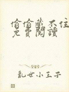 偷偷藏不住小说免费阅读