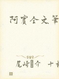 阿宾全文笔趣阁