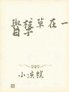 与校草在一起的日子