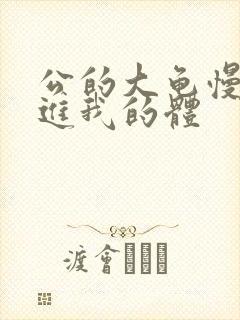 公的大龟慢慢挺进我的体