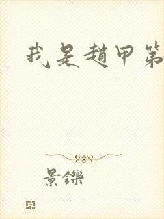 我是赵甲第小说