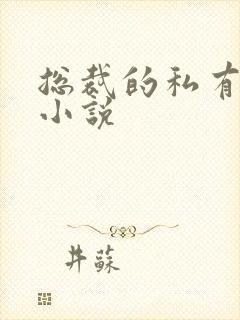 总裁的私有宝贝小说