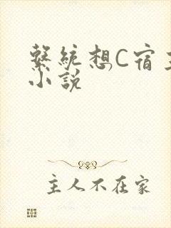 系统想C宿主的小说