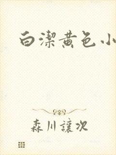 白洁黄色小说