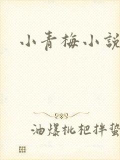 小青梅小说