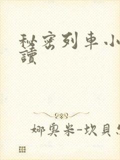 秘密列车小说阅读