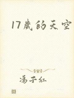 17岁的天空