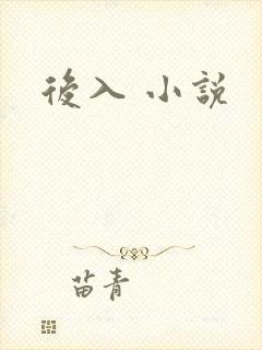 后入 小说
