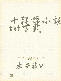 十段锦小说全本txt下载
