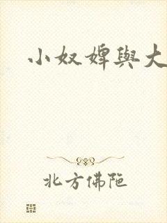 小奴婢与大少爷