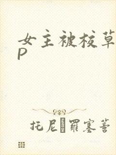 女主被校草们NP