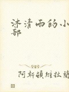 沐清雨的小说全部
