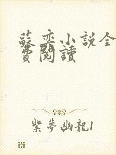 苏奕小说全文免费阅读