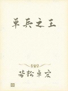 单兵之王