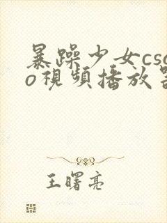 暴躁少女csgo视频播放器推荐