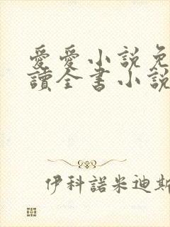 爱爱小说免费阅读全书小说乡村