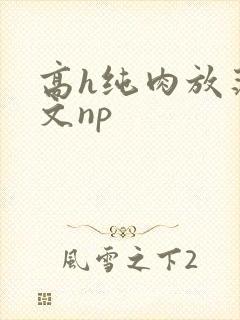 高h纯肉放荡h文np