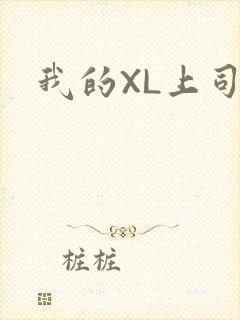 我的XL上司