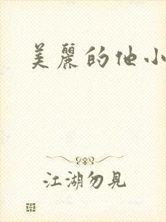 美丽的他小说