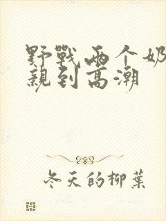 野战两个奶头被亲到高潮