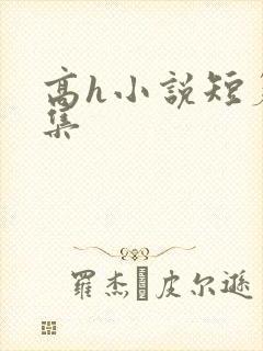 高h小说短篇合集