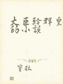 大臣干群皇太后的小说