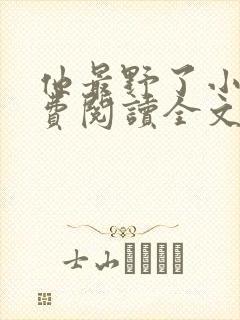 他最野了小说免费阅读全文