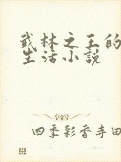 武林之王的退隐生活小说