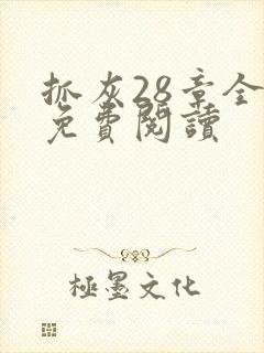 抓灰28章全部免费阅读