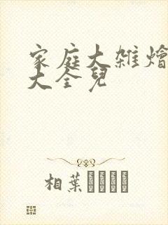 家庭大杂烩小说大全儿