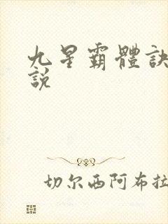 九星霸体诀 小说