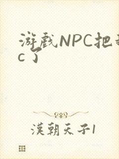 游戏NPC把我c了