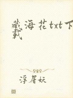 藏海花txt下载