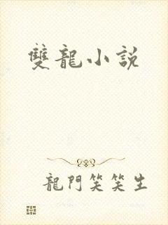 双龙小说