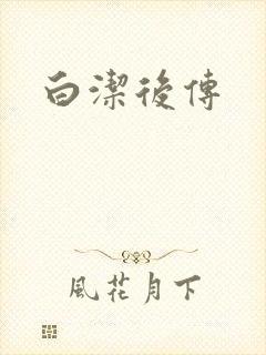 白洁后传