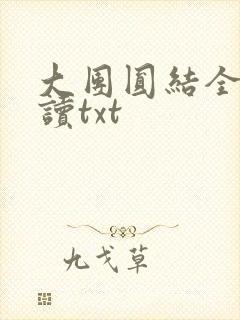 大团圆结全文阅读txt