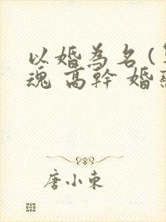 以婚为名 (军魂 高干 婚恋)