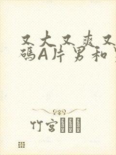 又大又爽又黄无码A片男和男