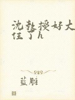 沈教授好大含不住了h