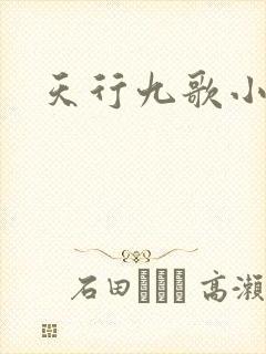 天行九歌小说