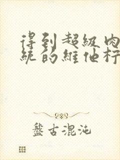 得到超级肉禽系统的维他柠檬茶