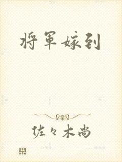 将军嫁到
