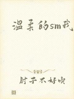 温柔的sm我