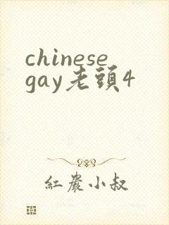 chinesegay老头4
