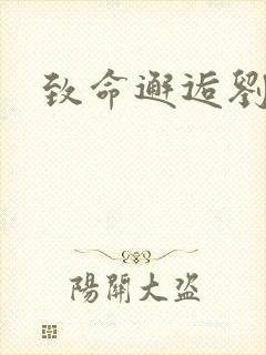 致命邂逅刘小寐