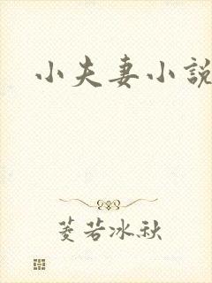 小夫妻小说