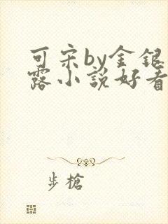 可宋by金银花露小说好看吗