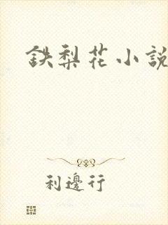 铁梨花小说